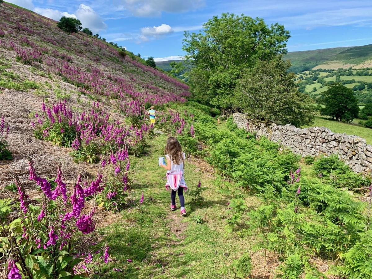 Black Mountains Stylish Hideaway, Nr Crickhowell Llanbedr  Exteriör bild